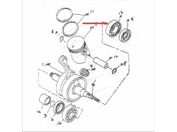 RX100 Crankshaft brearing(6205)