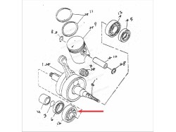 RX100 Crankshaft brearing(6304)