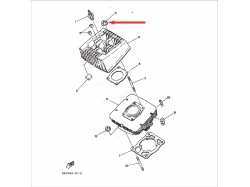 RX135 Nut, Cylinder Head